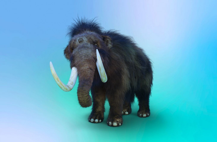 Menjaga Privasi dan Keamanan Mastodon