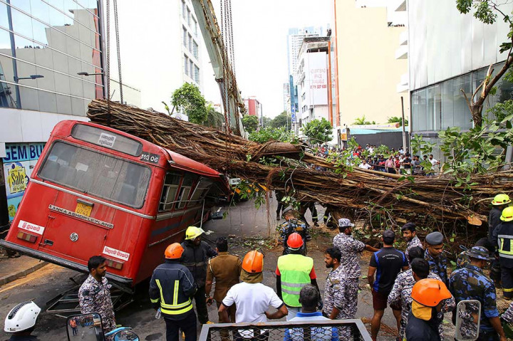 Tragis! Sebuah Bus Tertimpa Pohon, 5 Penumpang Tewas