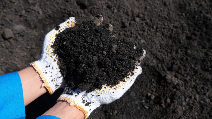 Tak Hanya untuk Bahan Bangunan, FABA PLN Tingkatkan Hasil Panen Padi