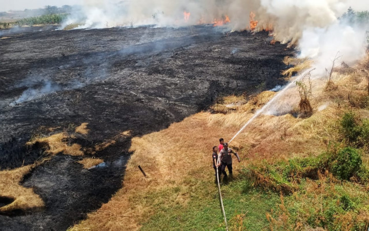255 Hektare Lahan di Majalengka Terbakar Selama Musim Kemarau