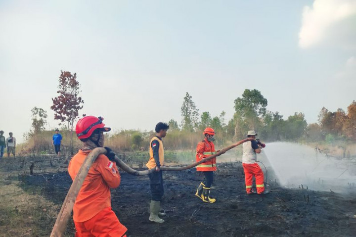 10 Hektare Lahan di OKU Sumatra Selatan Hangus Terbakar