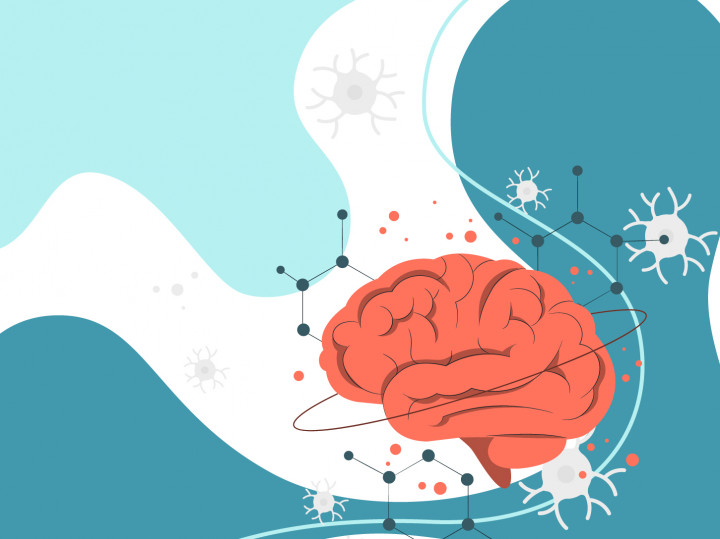 Mengenal Mati Batang Otak