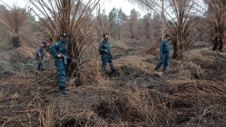 Polda Sumsel Selidiki 6 Perusahaan Diduga Sebabkan Karhutla