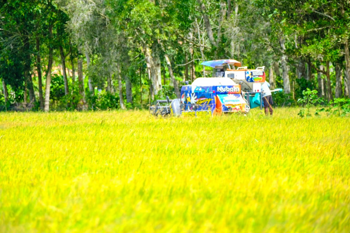 Wilmar Dampingi Petani Demi Hidupkan Lahan Tidur