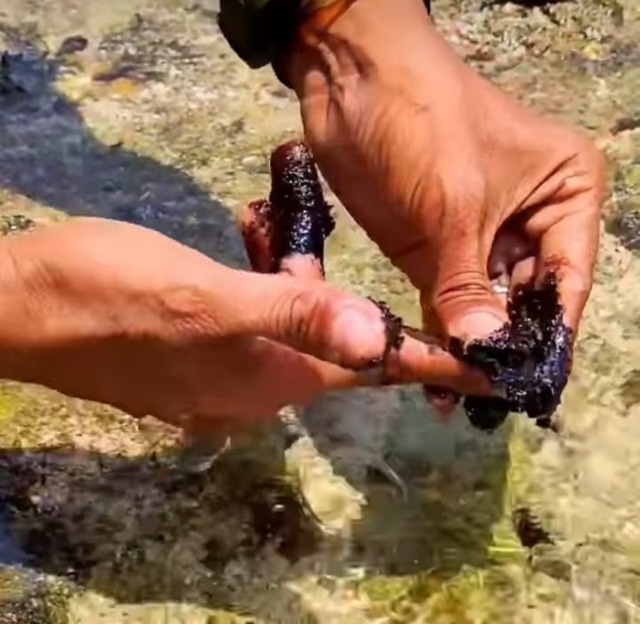 Pencemaran Air Laut di Pantai Gunungkidul Diduga dari Tumpahan Solar