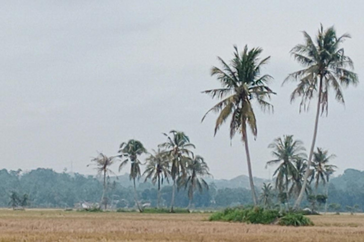 Meski Diguyur Hujan, Asap Kiriman Masih Menyelimuti Aceh