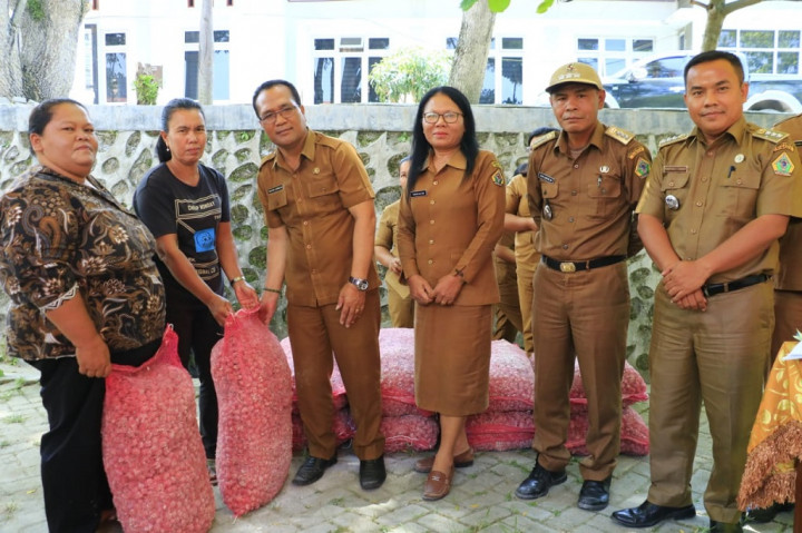 Pemkab Samosir Salurkan Bantuan Bibit Kopi dan Bawang Merah Kepada Petani