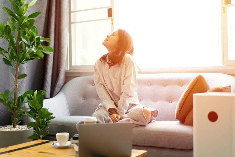 Cara meningkatkan kualitas udara di dalam ruangan. Foto: Shutterstock