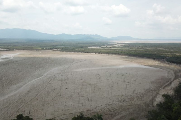 Danau Sentarum Mengering Warga Kapuas Hulu Kesulitan Air Bersih