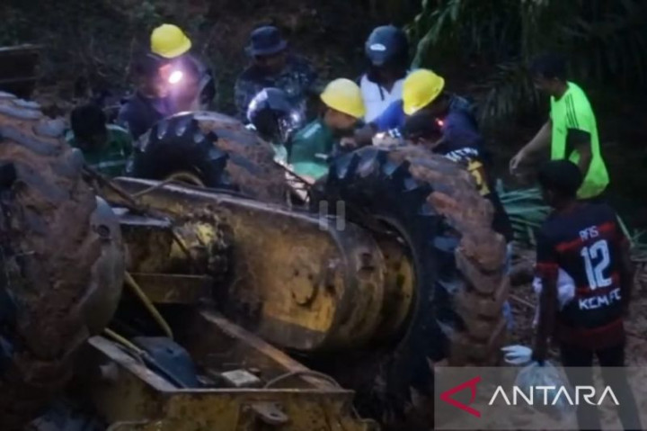 3 Pekerja Perkebunan Sawit di Aceh Jaya Tewas Terjepit Alat Berat
