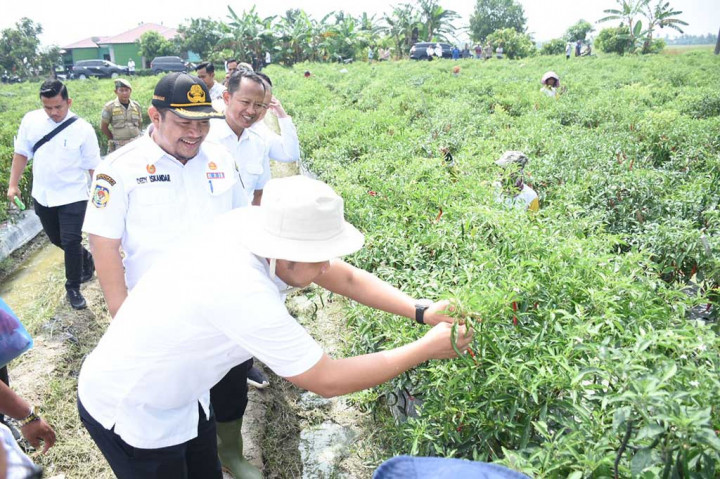 Sergai Miliki Potensi Pertanian Hortikultura, Mampu Stabilkan Stok Pangan