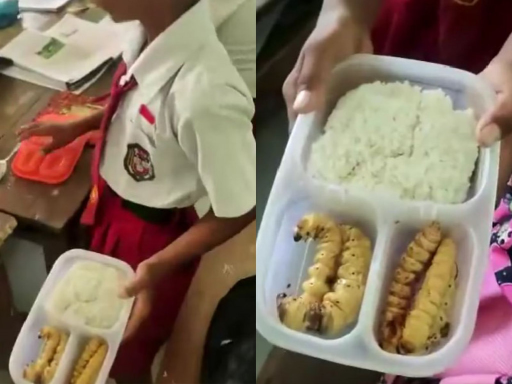 Siswa SD di Bojonegoro bawa bekal ulat sagu, foto: X @jowoshitpost