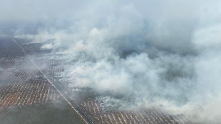 20.558 Hektare Lahan di Ogan Komering Ilir Hangus Terbakar