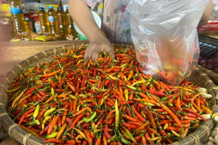 Harga Cabai Rawit di Gorontalo Utara Tembus Rp100 Ribu Kg