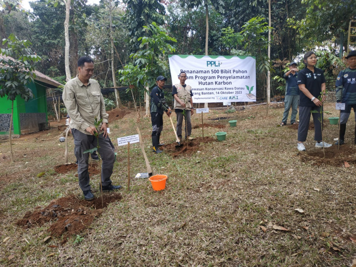 Hutan Karbon Berkontribusi Terhadap Ekosistem Serta Kualitas Udara
