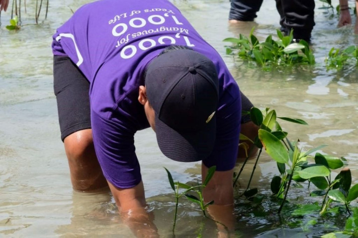 Kurangi Polusi Udara, Begini Upaya yang Dilakukan Perusahaan