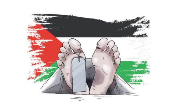 <i>Genosida Palestina</i>