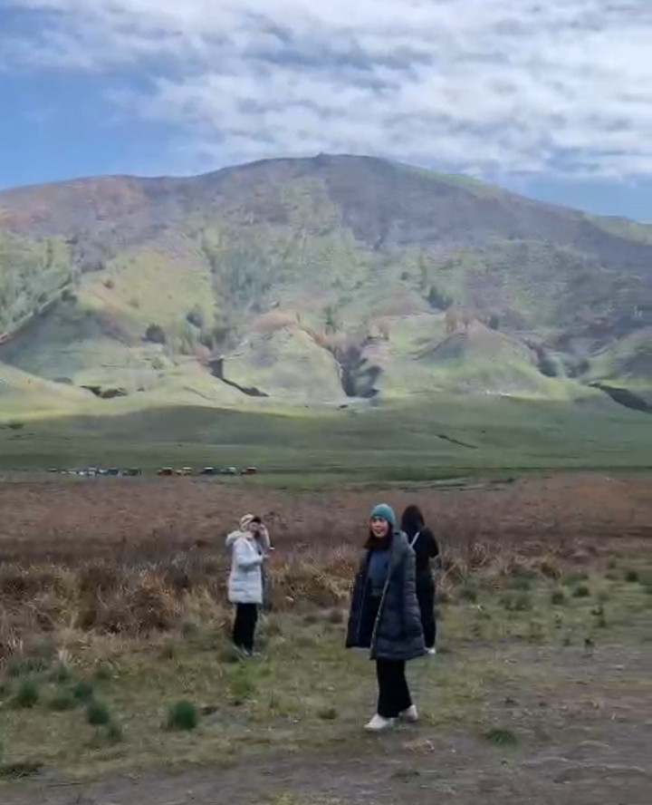 Sabana Mulai Menghijau, Wisata Bromo Kembali Menggeliat