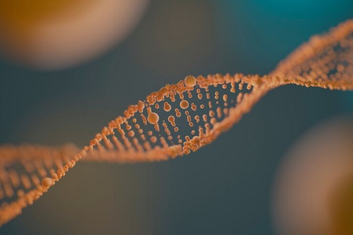Struktur DNA ikan salmon paling mirip dengan DNA manusia. (Foto: Ilustrasi. Dok. Freepik.com)