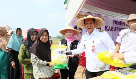 Tangerang Klaim Telah Distribusikan 274 Ton Beras untuk Stabilkan Harga