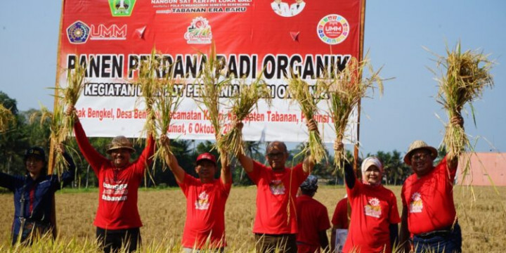 UNESCO Dukung Pengembangan Subak Bali oleh UMM