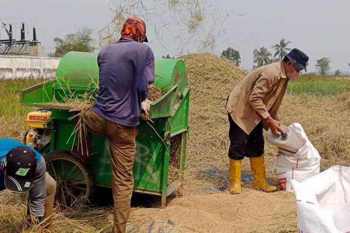 Infrastruktur Pertanian Maksimalkan Hasil Produktivitas Padi di Sumsel