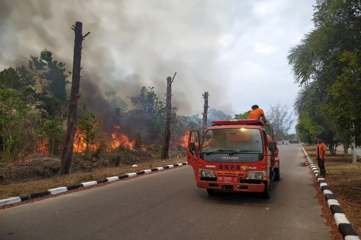 Lima Hektare Lahan di Depan BI Babel Ludes Dilalap Api