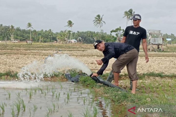 Sejumlah Kawasan Mukomuko Memerlukan Pompa Air untuk Pengairan Sawah