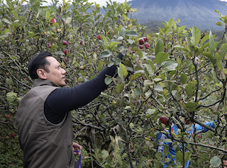 Jokowi Siap <i>Reshuffle</i> Kabinet, AHY Tiba-tiba Bicara Pertanian