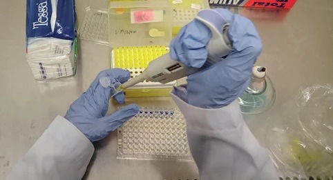 Inovasi UGM, Senyawa Antisalmonellosis dari Bakteri Laut