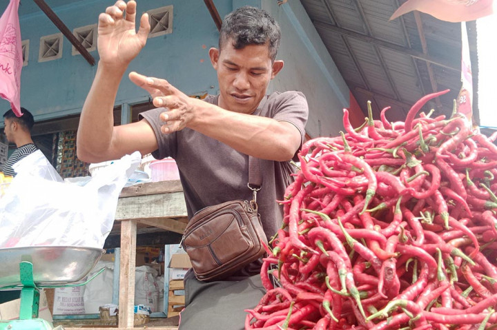 Awal Musim Hujan, Harga Cabai Merah di Aceh Naik