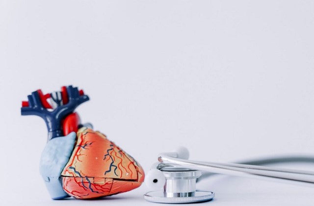 Ini Batas Pemasangan Ring Jantung di Dalam Tubuh