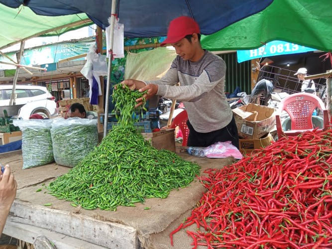 Kekeringan Panjang, Harga Cabai Rawit di Jatim Makin Pedas