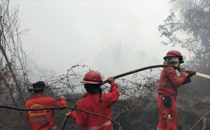 Dapat Tambahan 50 Personel, Pemadaman Karhutla Difokuskan di Kabupaten OKI