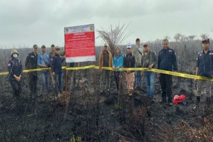 KLHK Segel Lahan HGU 2 Perusahaan Penyebab Karhutla di Kalsel