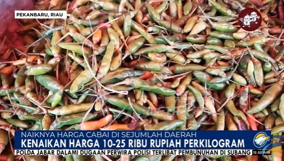 Musim Panas Bikin Harga Cabai di Sumatra Makin Pedas, Naik Hingga 2 Kali Lipat