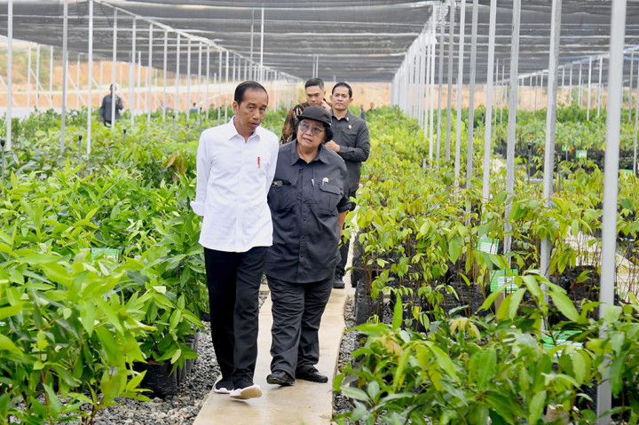 Jokowi Ajak Sejumlah Pemimpin Perusahaan Tinjau Persemaian Mentawir