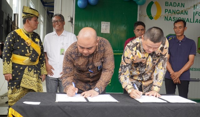 Perumda Dharma Jaya Suplai Kebutuhan Daging Sapi Kabupaten Karimun