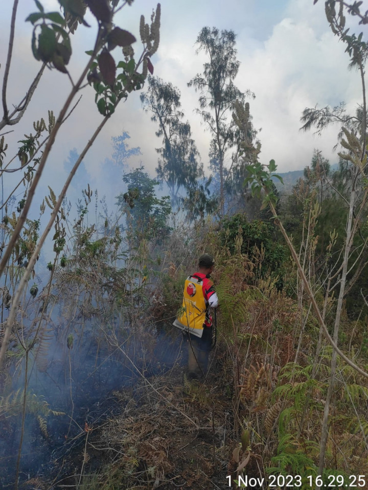 Waduh! Kaki Gunung Rinjani Terbakar