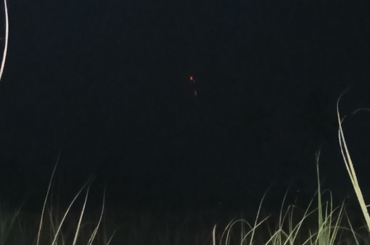 Gunung Kawi Kebakaran, Titik Api Terlihat dari Wagir Malang