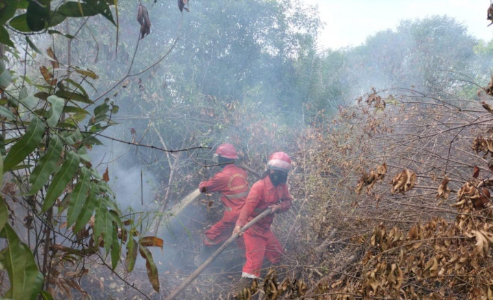 Sudah 65 Hari Karhutla 2 Desa di Kabupaten OKI Belum Padam