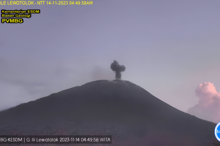 Gunung Ili Lewotolok Semburkan Abu Vulkanik hingga 300 Meter