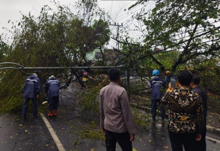 Gunungkidul Waspadai Potensi Angin Kencang dan Pohon Tumbang selama Pancaroba