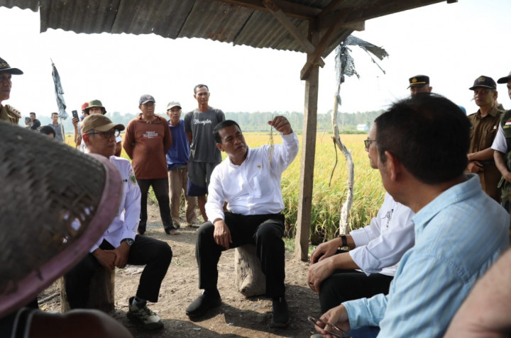 Kementan Optimalkan Lahan Rawa di Sumsel Tingkatkan Produksi Padi