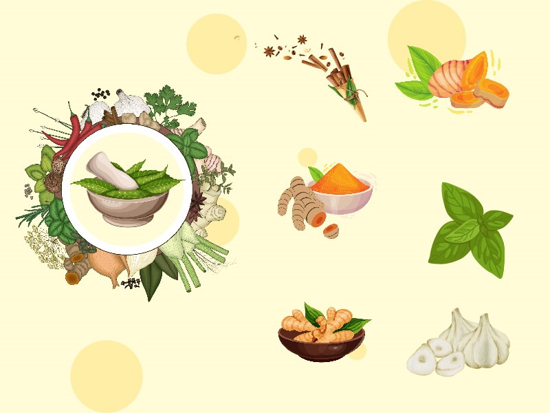 6 Bahan Herbal ini Bisa Percepat Pemulihan Tifus