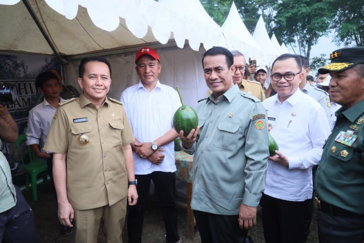 Kementan Targetkan Sumsel Cetak 200 Ribu Hektare Sawah