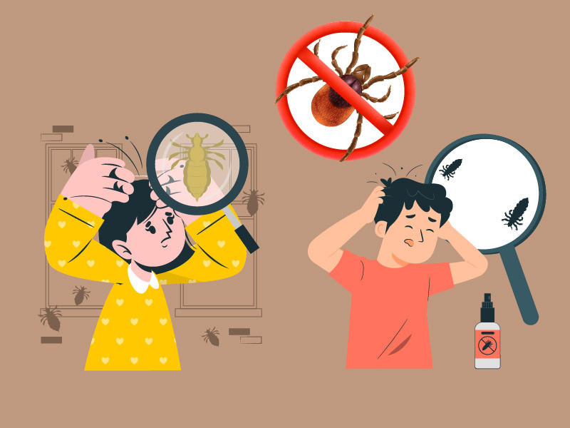 Bahaya Kutu Busuk dan Cara Menghindarinya