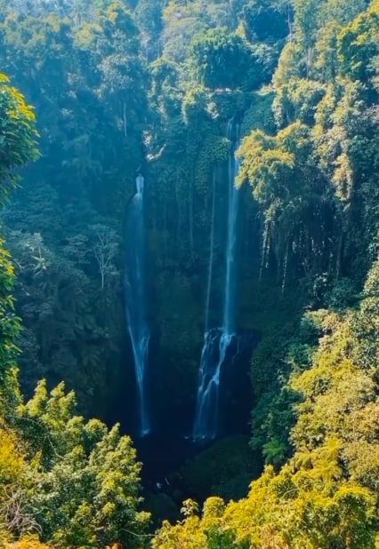Viral! Wisatawan Keluhkan Harga Tiket Masuk Air Terjun di Bali Rp300 Ribu