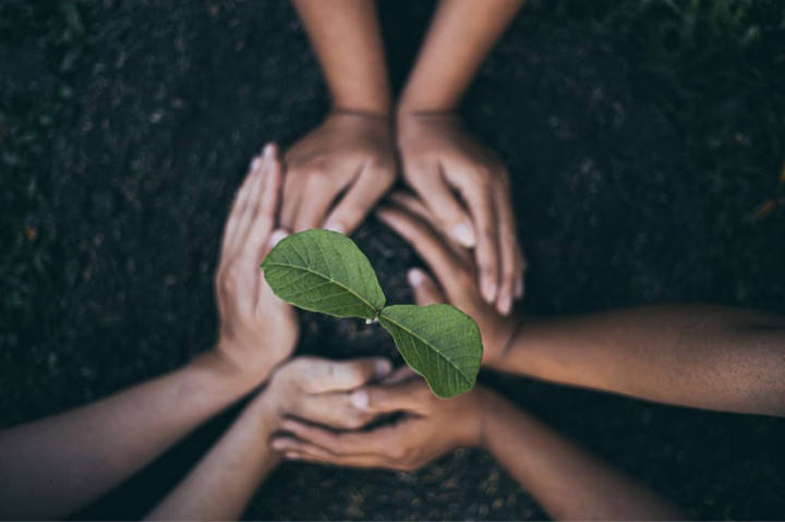 Pelaku Ekonomi Hijau Diajak Kolaborasi Bangun Solusi Krisis Lingkungan