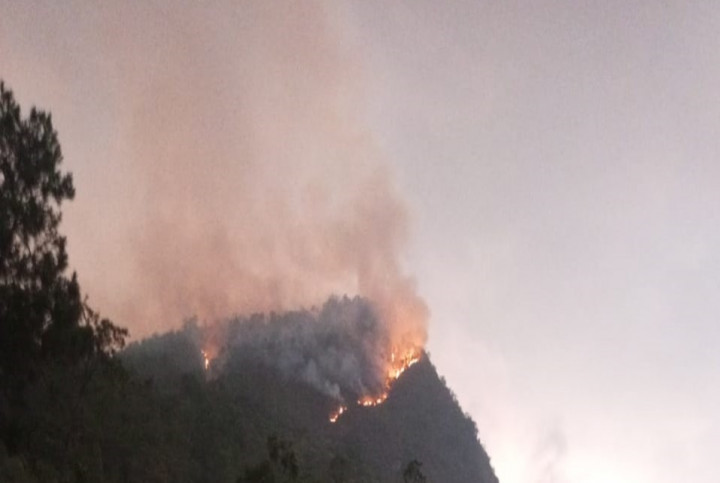 Gunung Panderman di Kota Batu Kebakaran Usai Tersambar Petir